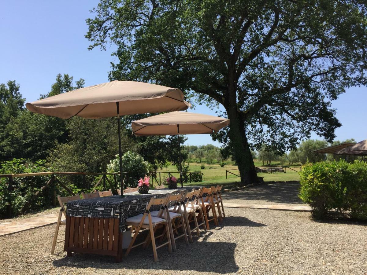 Agriturismo Pieve De Pitti Terricciola Exterior foto